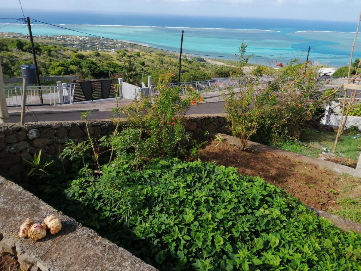 O Bercail Du Sud Chez Jeannette Apartment Saint Gabriel ภายนอก รูปภาพ